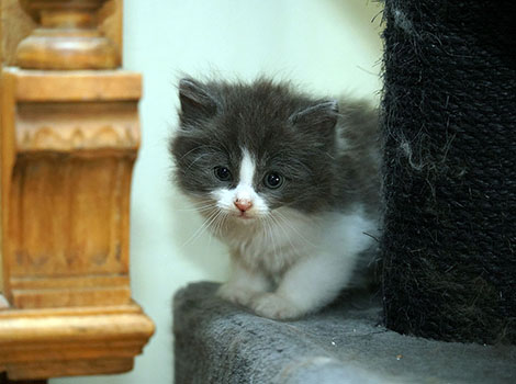 Quidam am 28.05.2025